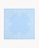 packshot