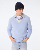 Polo Roy celestial