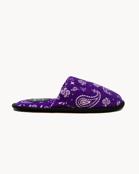 Chaussons Arizona deep purple - Image principale