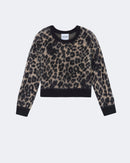 Pull en cachemire camel pour femme - Kujten packshot